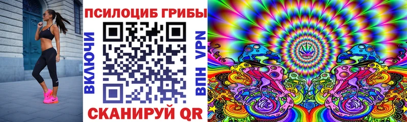 Псилоцибиновые грибы мухоморы  наркошоп  Циолковский 