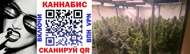 kraken как войти  Циолковский  Канабис планчик 